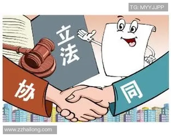 以法治为核心推动社会治理现代化建设全面提升法治国家建设水平 以法治为核心推动社会治理现代化建设全面提升法治国家建设水平