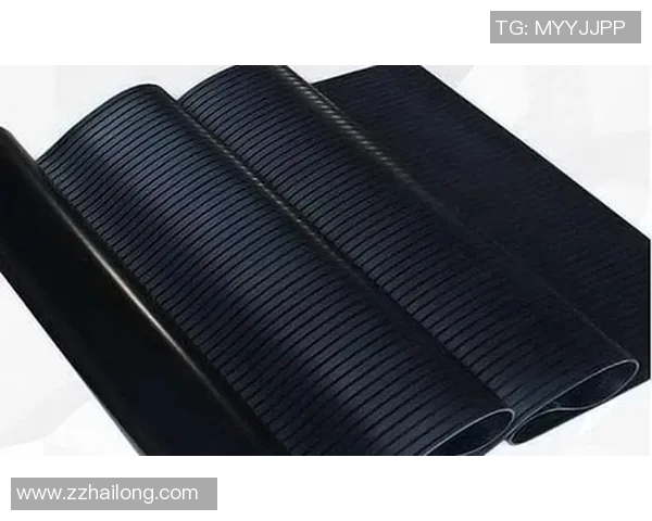 橡胶制品的创新应用与未来发展趋势探析