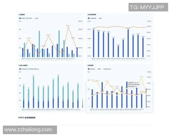 数据分析V5节奏表现探讨与优化策略研究