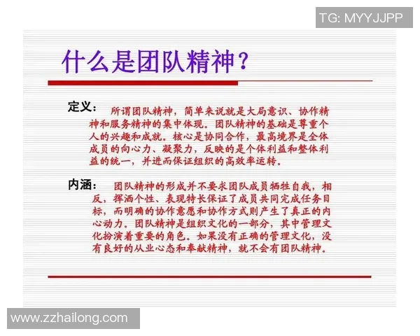 武汉排球队的崛起与挑战探讨排球运动中的团队力量与精神