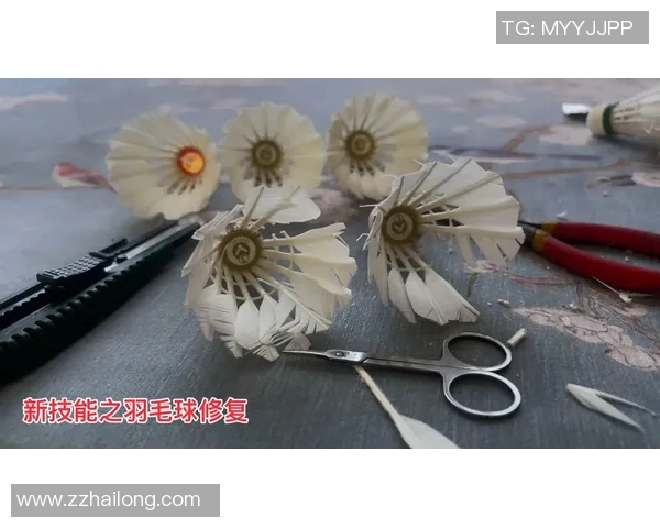 从零起步掌握羽毛球技巧与状态提升全攻略